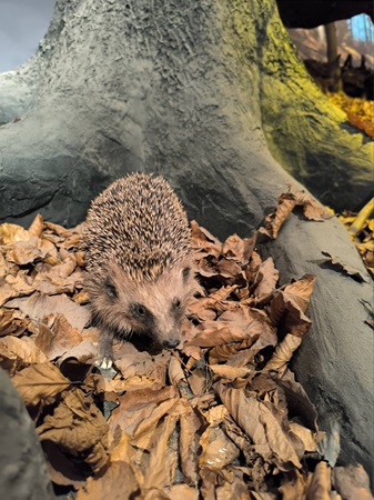 Walentynkowa wycieczka do Krempnej